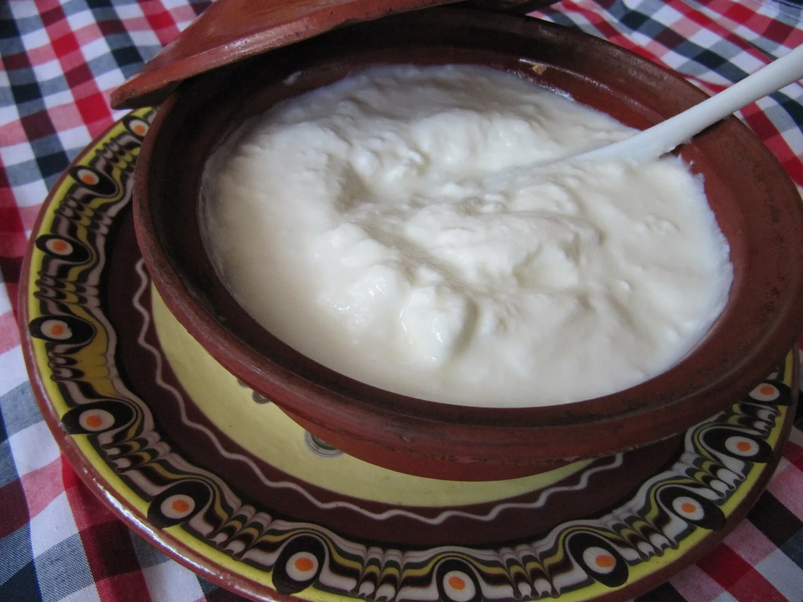 Bulgar yoğurdu (kiselo mlyako)