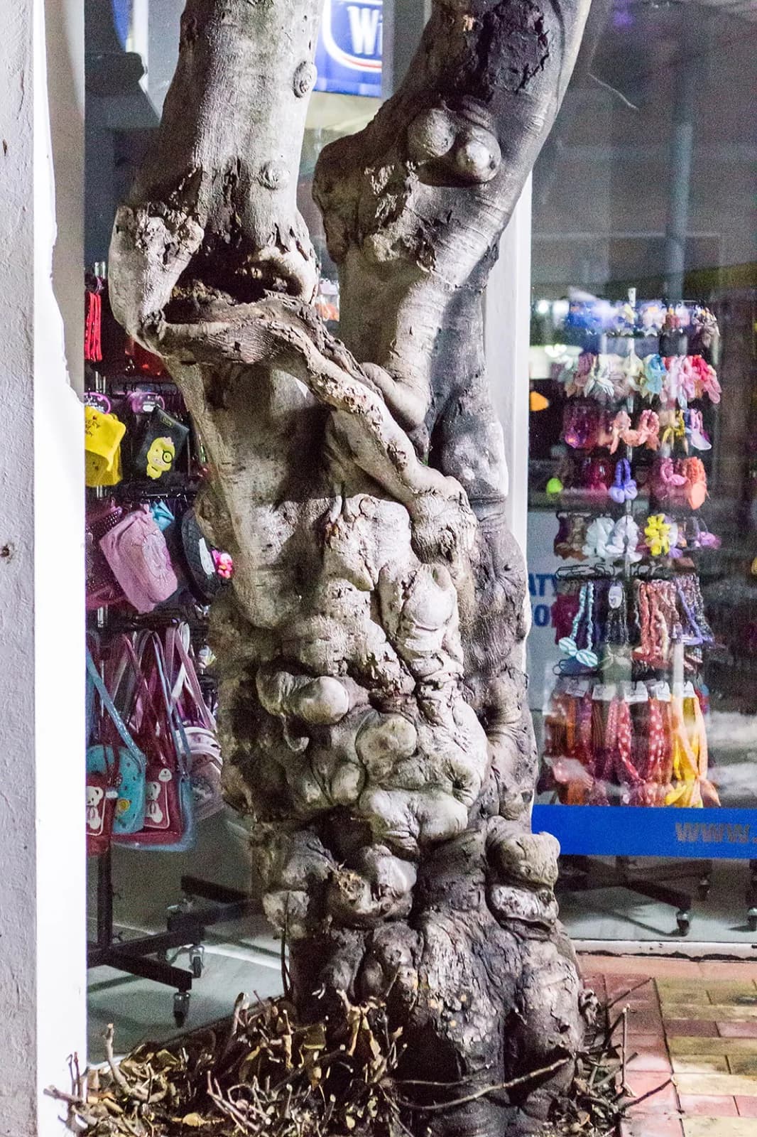 Burgas şehir merkezindeki tarihi cepheler